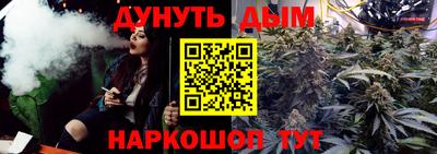 гашик Жуковский