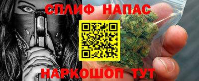 гашик Жуковский