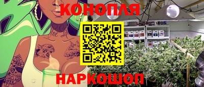 гашик Жуковский