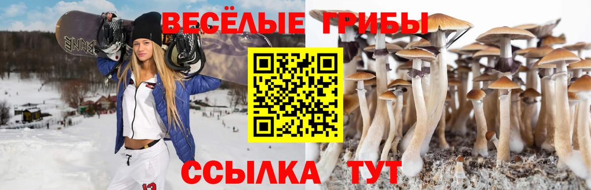 Псилоцибиновые грибы Magic Shrooms  Вход с VPN  Кашира 